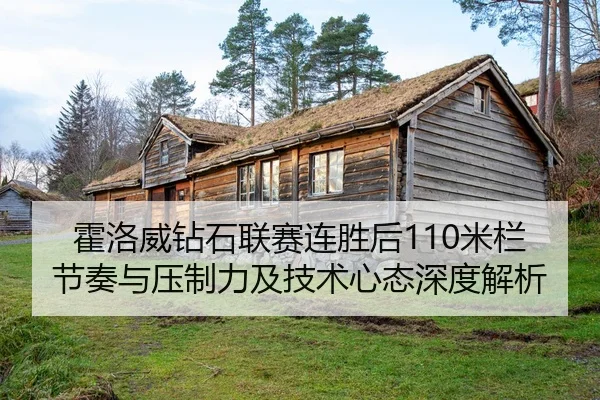 霍洛威钻石联赛连胜后110米栏节奏与压制力及技术心态深度解析