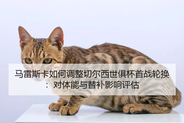 ma-lei-si-ka-ru-he-tiao-zheng-qie-er-xi-shi-ju-bei-shou-zhan-lun-huan-dui-ti-neng-yu-ti-bu-ying-xiang-ping-gu-2-574.jpg